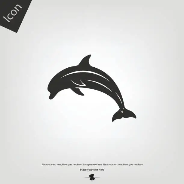 Vector illustration of Dolphin vector icon