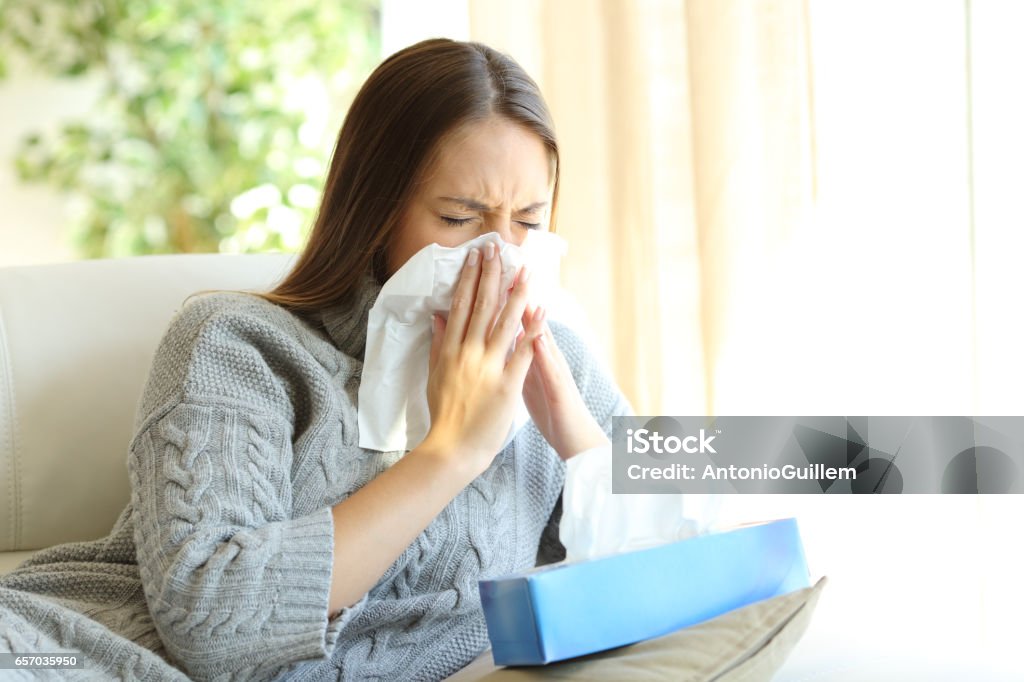 Woman blowing with flu in winter Woman blowing in a wipe suffering flu symptoms sitting on a sofa at home in winter Allergy Stock Photo
