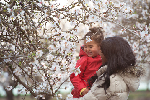 Close up woman and daugther enjoying bloosom of almond tree.