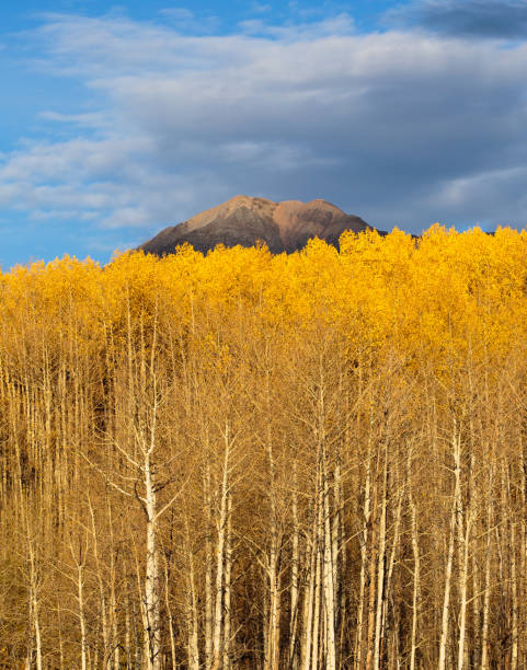 istock Colorado Scenic Beauty 657039104