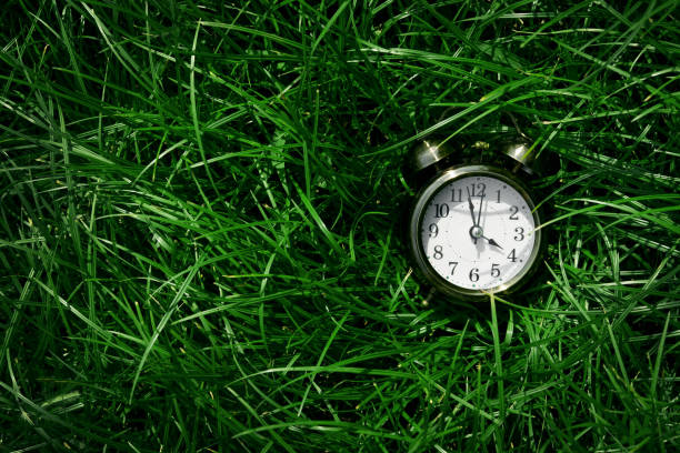 istock Alarm clock lay on Green Grass, top view 657042162