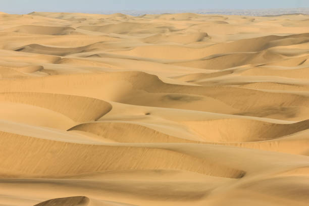 istock Big sand dunes panorama. Desert or beach sand textured background. 657042724