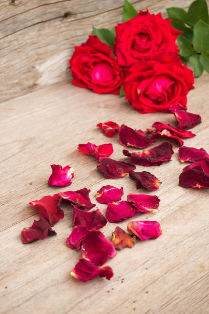 istock Red roses on wooden background. 657043058