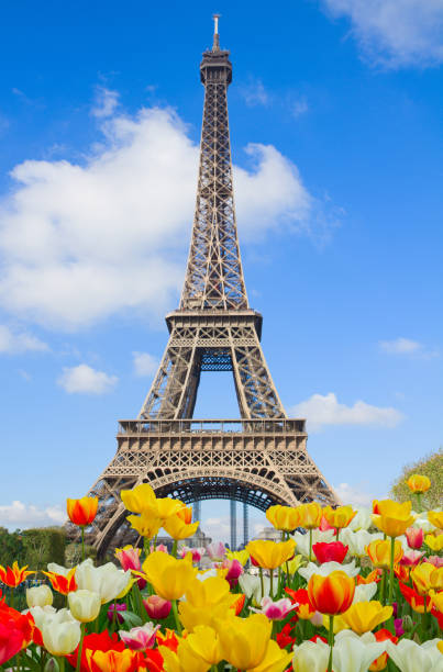 istock Eiffel tower close up, France 657045406