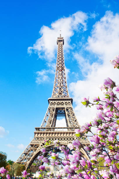 istock eiffel tower, France 657045608