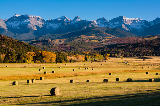 Autumn scene on a ranch near Ridgway, Colorado