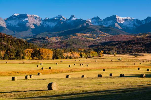 Autumn Ranch Autumn scene on a ranch near Ridgway, Colorado ridgway stock pictures, royalty-free photos & images
