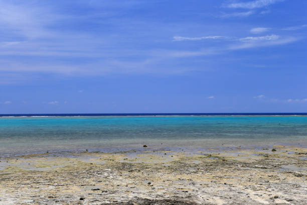 istock Shiraho Beach, Coral presevation area 657049310