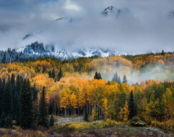 istock Winter and Autumn Collide in Colorado 657051694