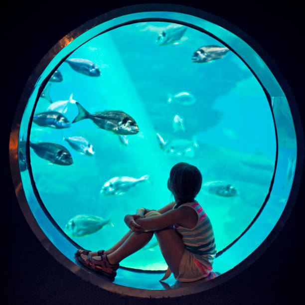 小女孩前往一個巨大的水族館 - 圓形 圖片 個照片及圖片檔