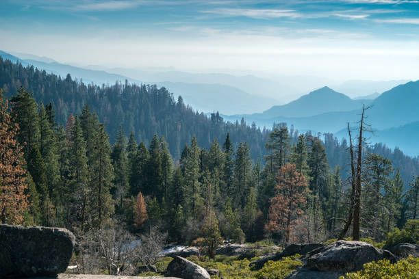 istock Landscape of Sequoia National park 657052590