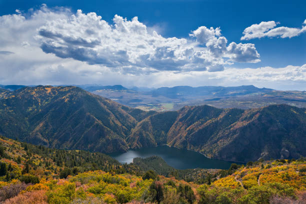 colorado jesień scenic beauty - rzeka gunnison - gold yellow aspen tree autumn zdjęcia i obrazy z banku zdjęć