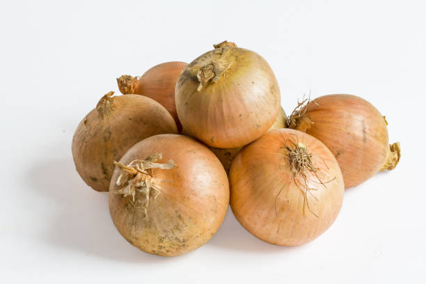 oignons en vrac シュールが好き・ ブラン - sweet onion ストックフォトと画像