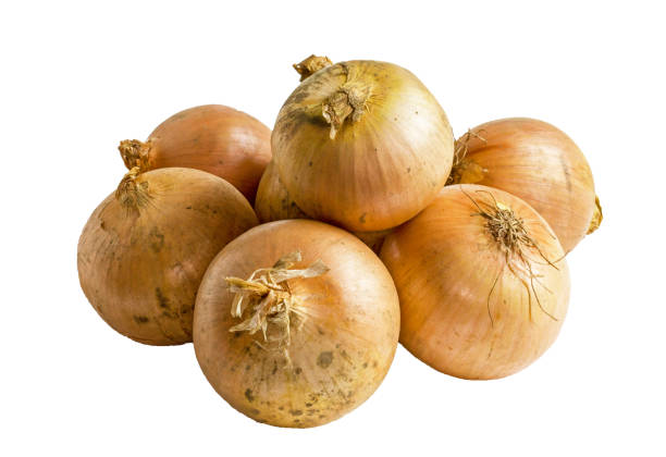 oignons en vrac sur fond blanc - sweet onion stock-fotos und bilder
