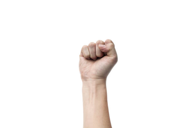 istock male hands, fist for active concepts on white backgrounds, isolated 657066638
