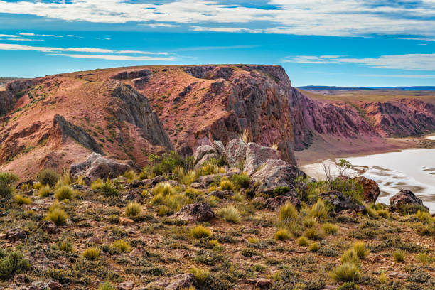 istock Darwin Viewpoints, Santa Cruz Argentina 657070578
