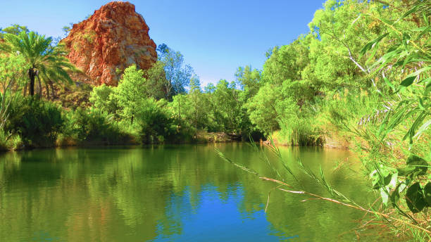 piękne wody / rzeka z kolorową roślinnością na kempingu palm springs w pobliżu halls creek, zachodnia australia - rainforest forest river australia zdjęcia i obrazy z banku zdjęć