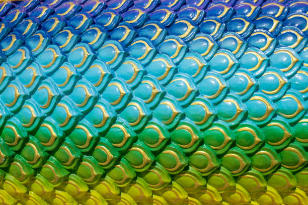 istock Scale naga colorful beautiful textured 657076070