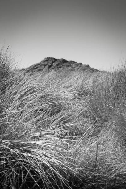 istock The sand dunes at Warkworth 657076454