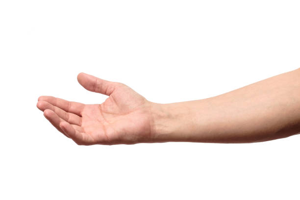 istock Man hand isolated on white background, hold, grab or catch 657083636