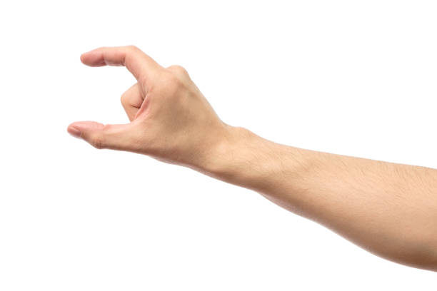 istock Man hand's measuring invisible item. Isolated on white 657083662