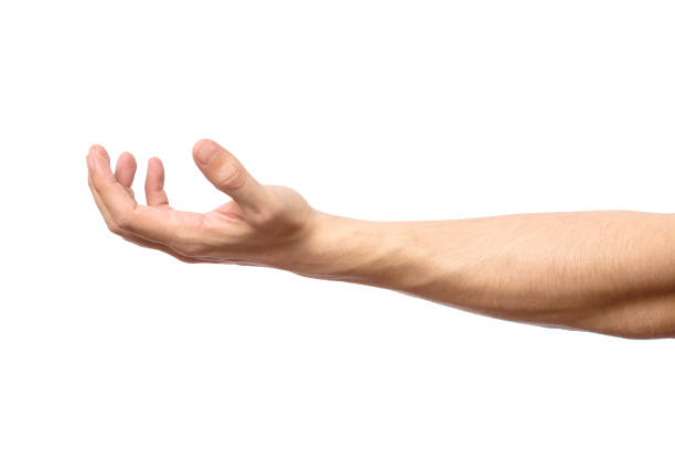 istock Man hand isolated on white background, hold, grab or catch 657083666