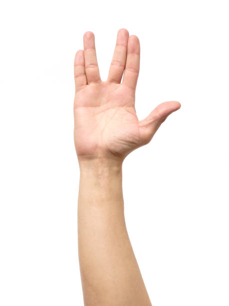 Male hand showing Vulcan Salute isolated on white background Male hand showing Vulcan Salute isolated on white background vulcan salute stock pictures, royalty-free photos & images