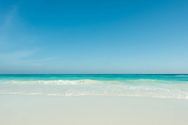 istock Beautiful gentle wave at the tropical beach with blue sky 657083870