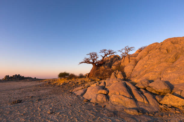 istock Rocks on Kubu Island 657096690