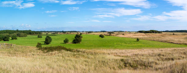 istock Panorama of dunes on island Texel, Netherlands 657122644
