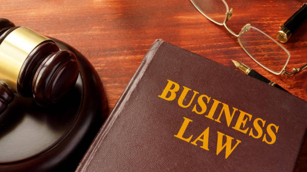 istock Book with title business law and gavel. 657123014