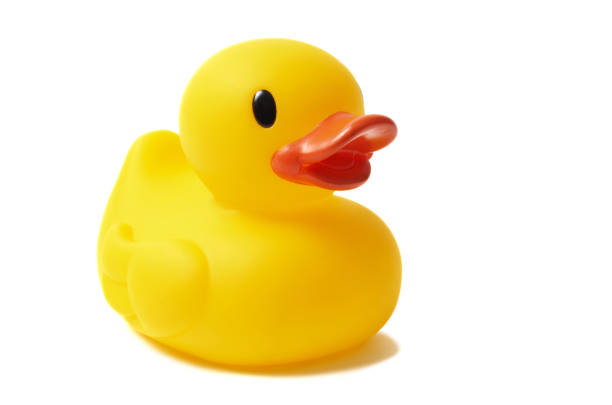 ゴム製アヒル - duck toy ストックフォトと画像