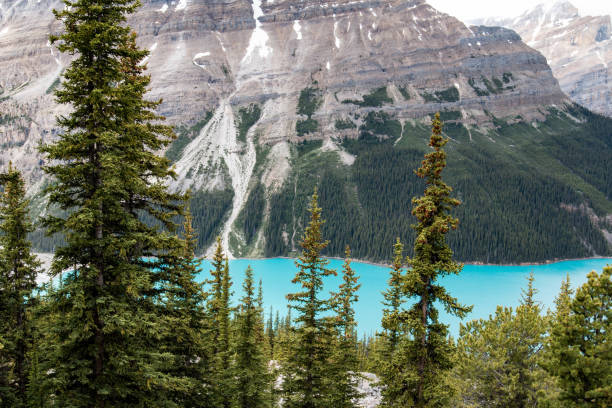 istock Peyto Lake, Jasper National Park, Canada 657134648