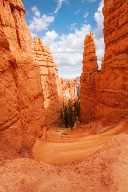 istock Gorge through high sandstone peaks of Bryce Canyon 657139318