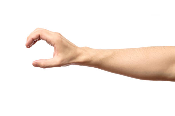 istock Man hand isolated on white background, hold, grab or catch 657139760