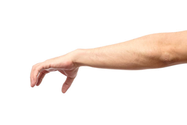istock Man hand isolated on white background, hold, grab or catch 657139786