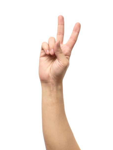 istock Counting hand sign isolated on white 657139860