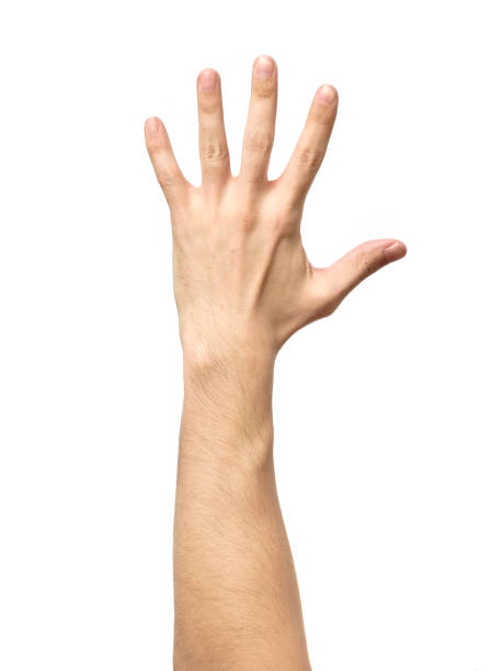 istock Man hand showing gesture isolated on white background 657139900