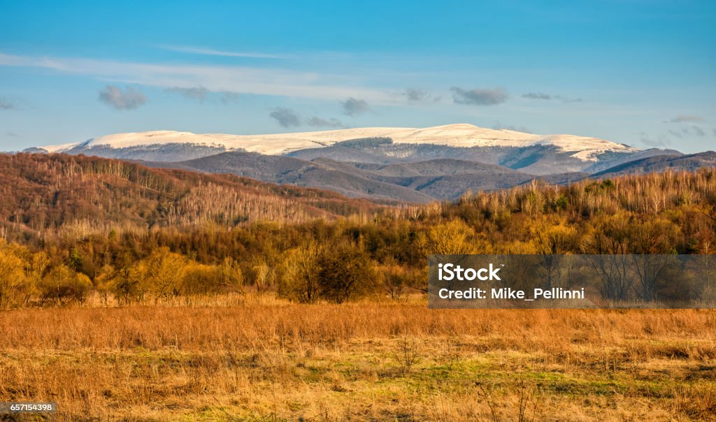 snowy peaks on the mountai top high mountain ridge snowy peaks over the hillside with forest Awe Stock Photo