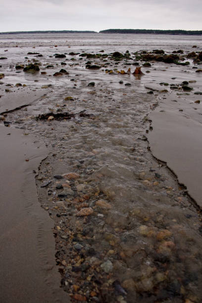 maré saindo da praia em maine - tide going out - fotografias e filmes do acervo