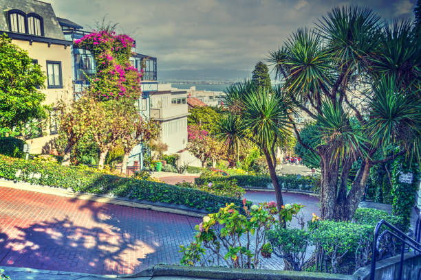 istock Lombard street in San Francisco 657166968