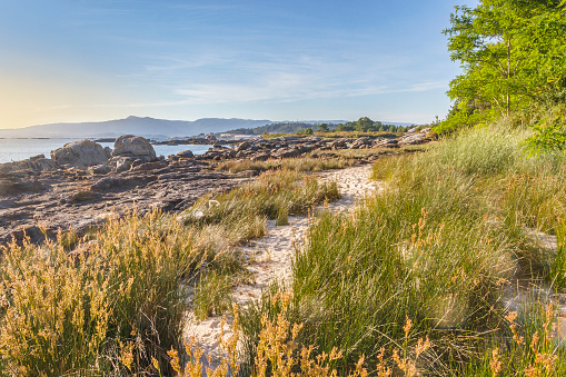 Coastal rocks, dune and forest on Espinheiro beach in Arousa Island