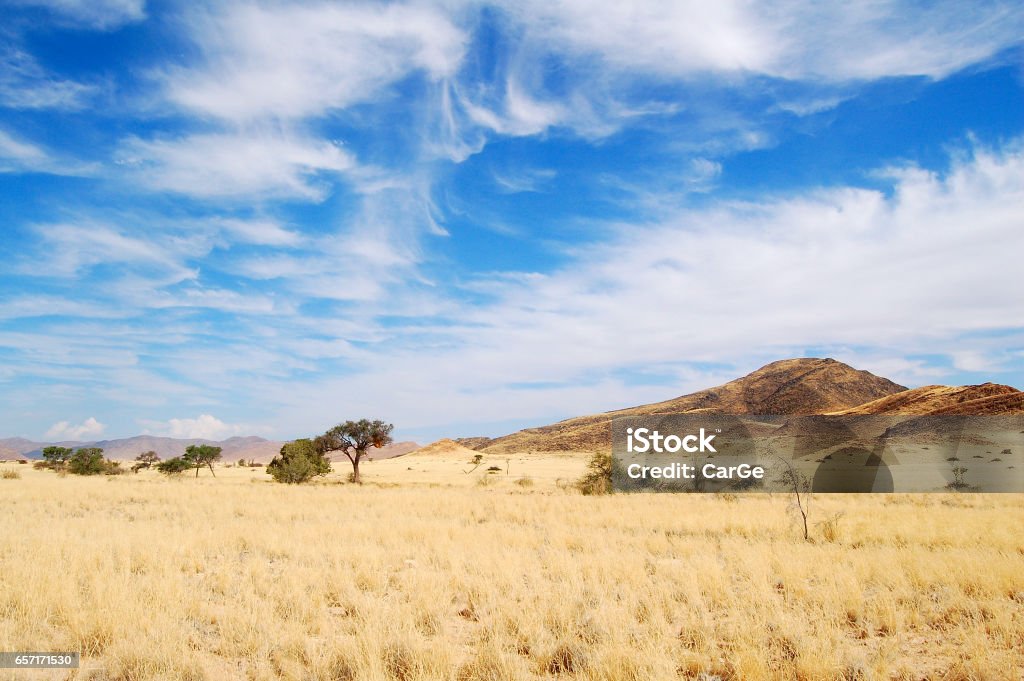 View over the savannah in Namibia The ecosystem of the savannah is characterized by the change of grasses and wood plants and is the habitat of many animal species. Africa Stock Photo