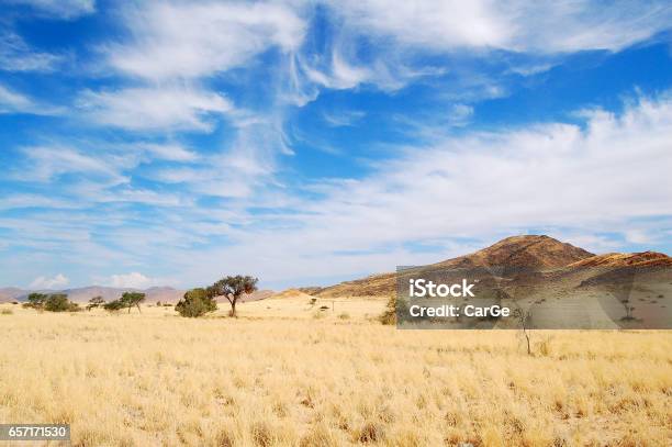 View Over The Savannah In Namibia Stock Photo - Download Image Now - Africa, Landscape - Scenery, Desert Area