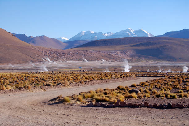 знаменитые гейзеры в пустыне атакама в чили - geyser nature south america scenics стоковые фото и изображения