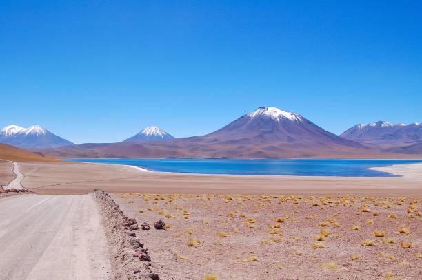 View over the beautiful Lagoon Miscanti in Chile stock photo