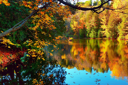 Autumn colours reflected in a pond