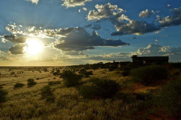 Wonderful sunset in the savannah of Namibia stock photo