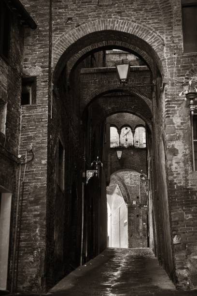 istock Siena street archway 657181060