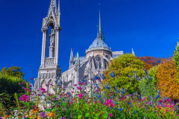 Photo of Focus on foreground flowers. View beautiful Notre Dame Cathedral with garden and flowers in Square du Jean XXIII, Paris, France.